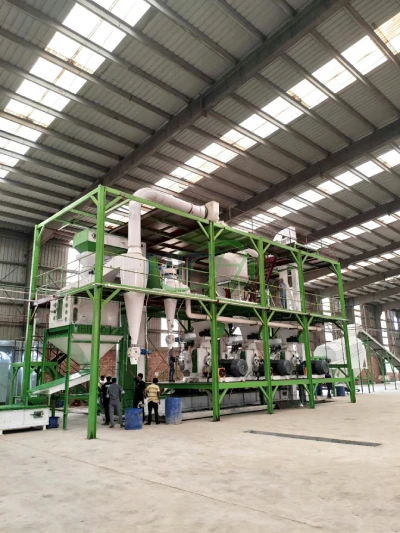 20T/H wood chip and sawdust biomass pellet production line for biofuel wood pellet manufacturing