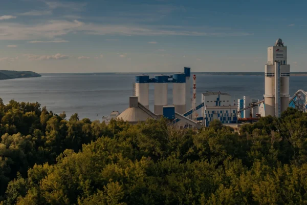 Biomass combustion plant for biofuel pellet production line project