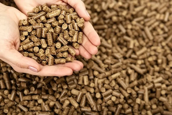 efb pellets on the hand